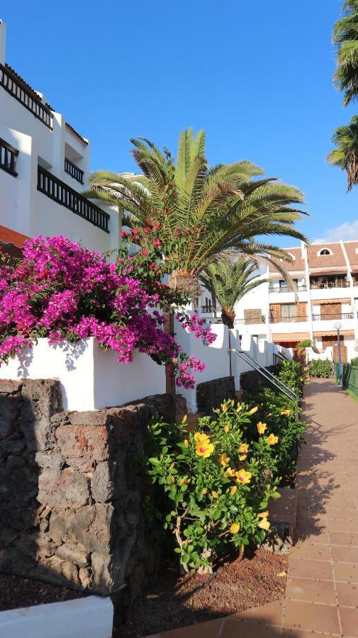 Apartamento En Tenerife Sur, Parque Santiago 2 Arona  Exterior photo